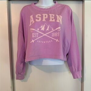Wild Fable | Purple/Pink |  Graphic Crop Sweatshirt | EUC
